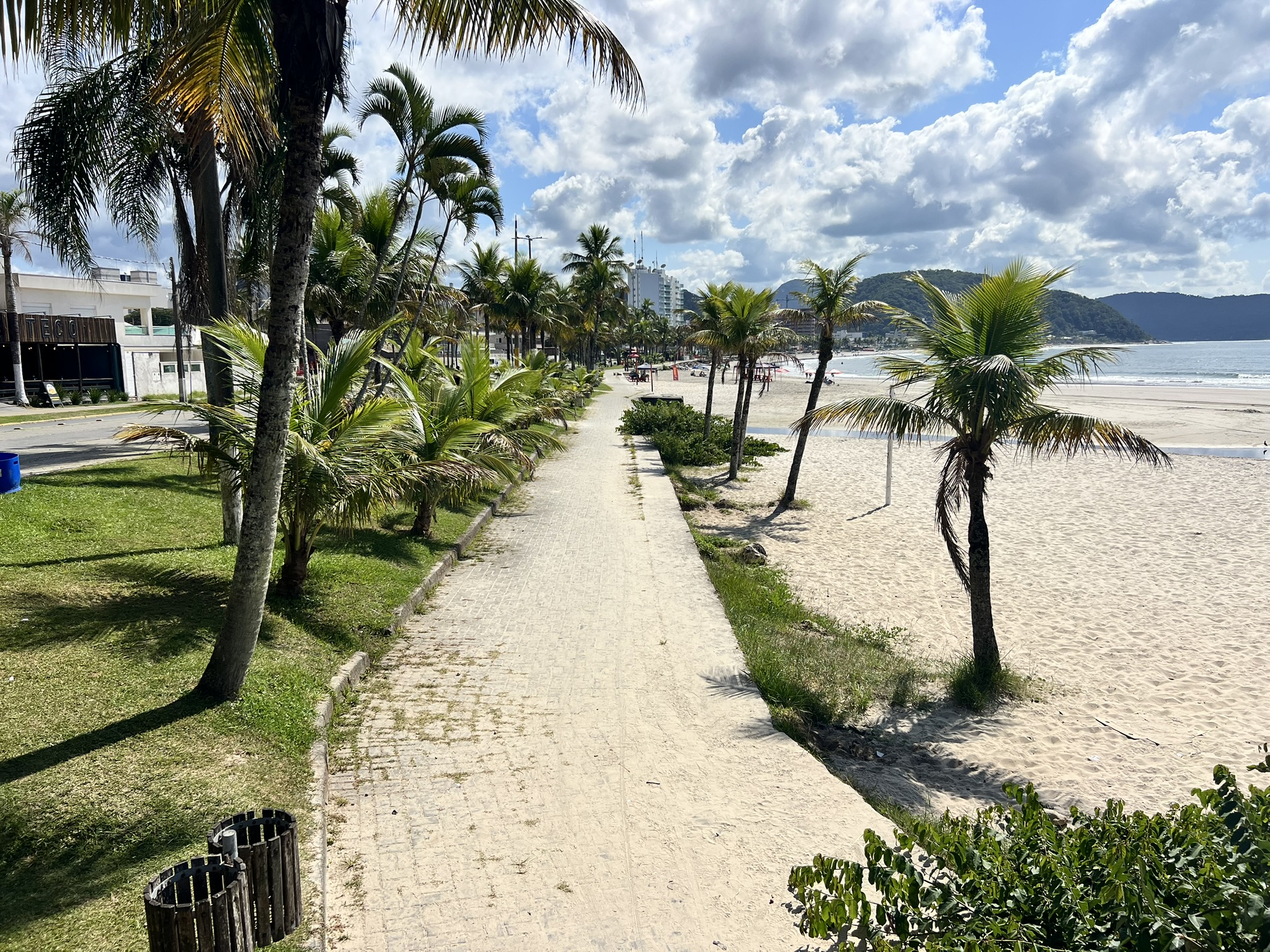 IMG_5559